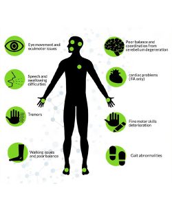 causes