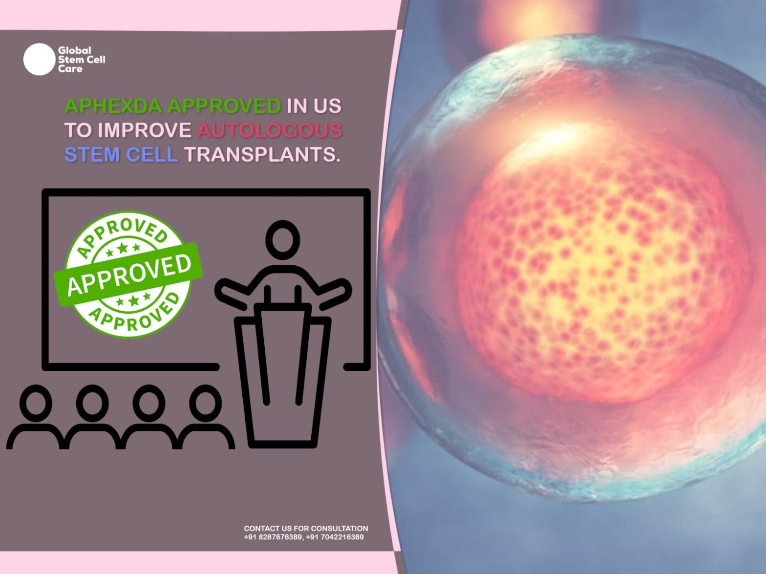Aphexda Approved in Us to Improve Autologous Stem Cell Transplants