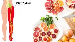 Sciatic-Nerve-Injury-&-Sciatica