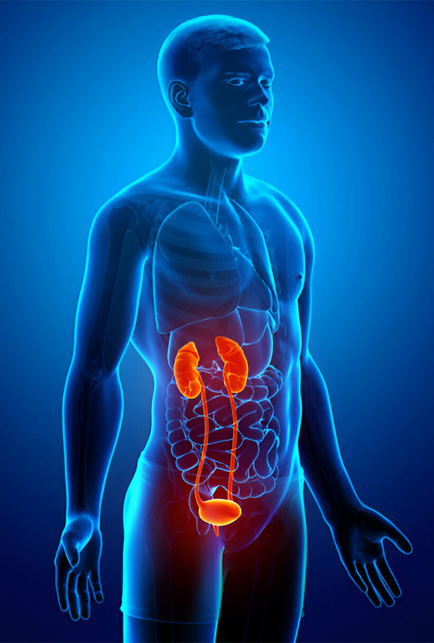 1.Get to Know All About Stem Cell Therapy for Erectile Dysfunction