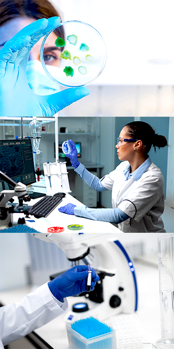 India Provide Best Medical Facilities To Lebanese Pati India Provide Best Medical Facilities To Lebanese Pati