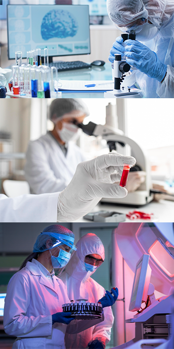 India Provide Best Medical Facilities To Lebanese Patients India Provide Best Medical Facilities To Lebanese Patients