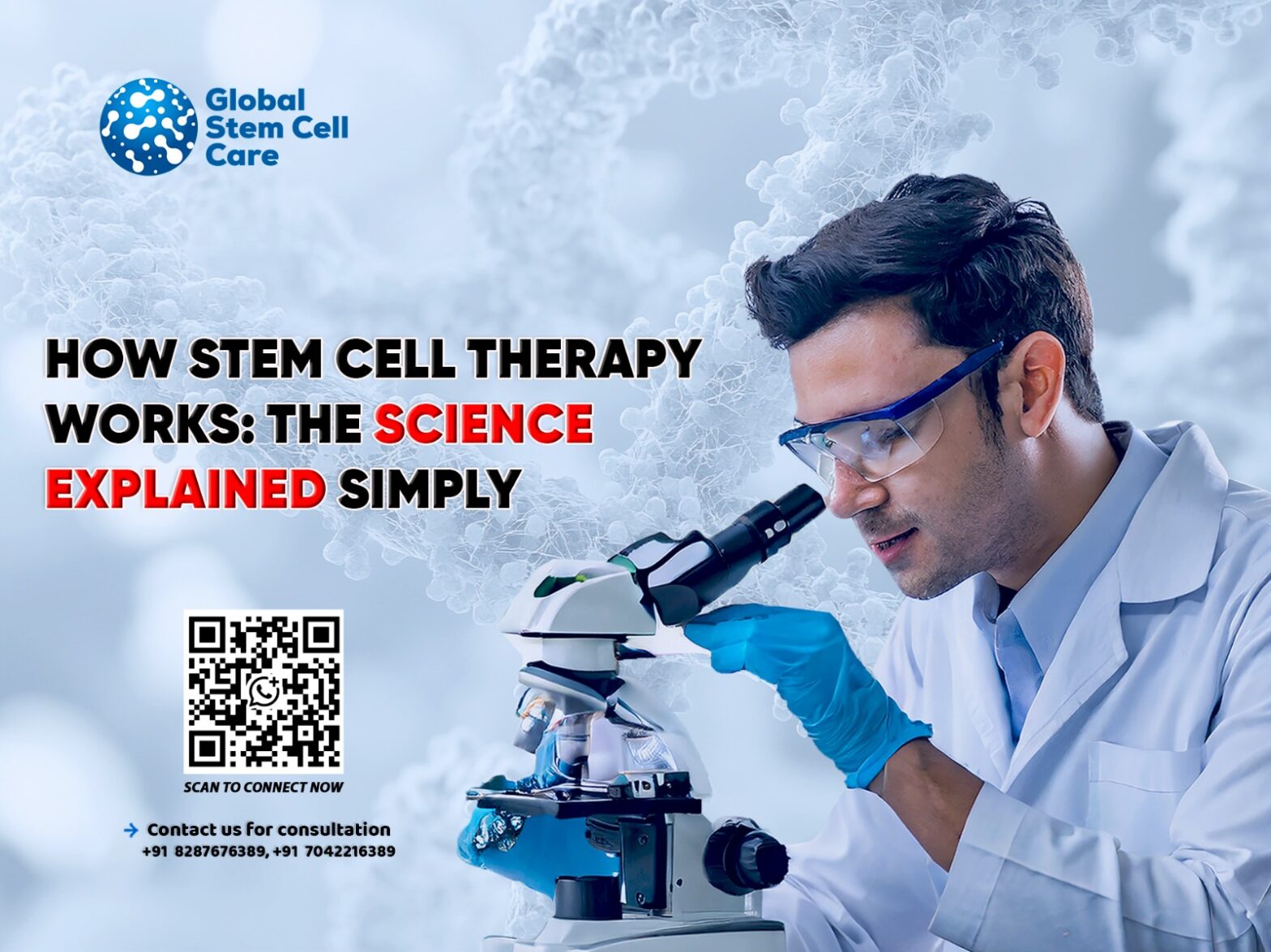 How Stem Cell Therapy Works: The Science Explained Simply