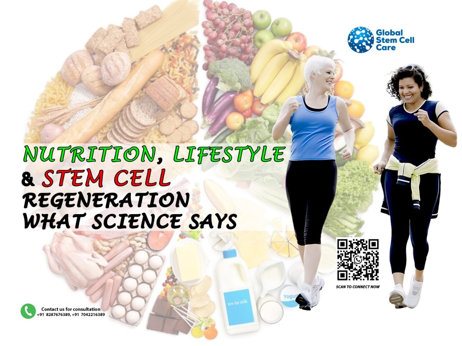 Nutrition, Lifestyle & Stem Cell Regeneration: What Science Says
