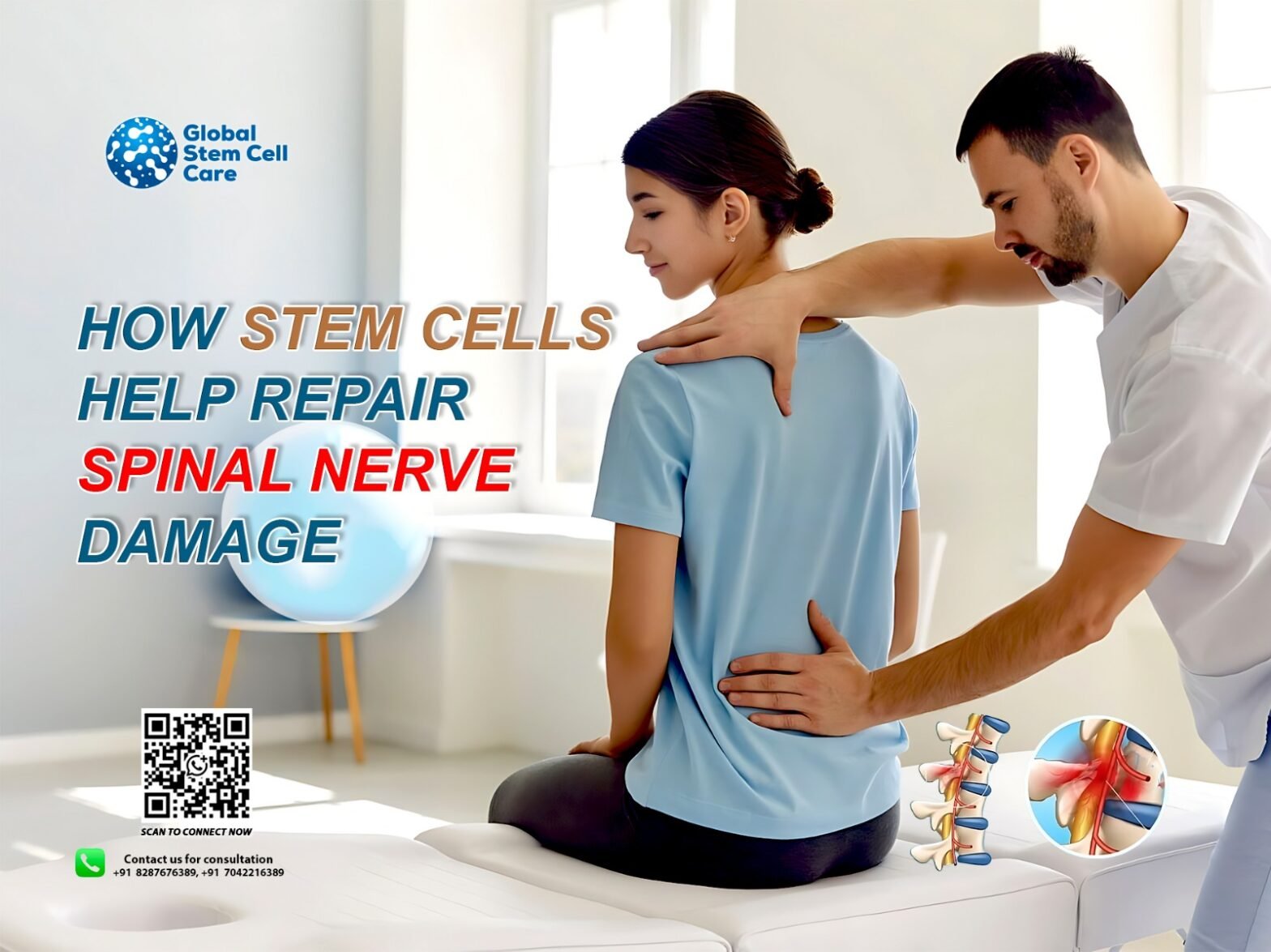 How Stem Cells Help Repair Spinal Nerve Damage